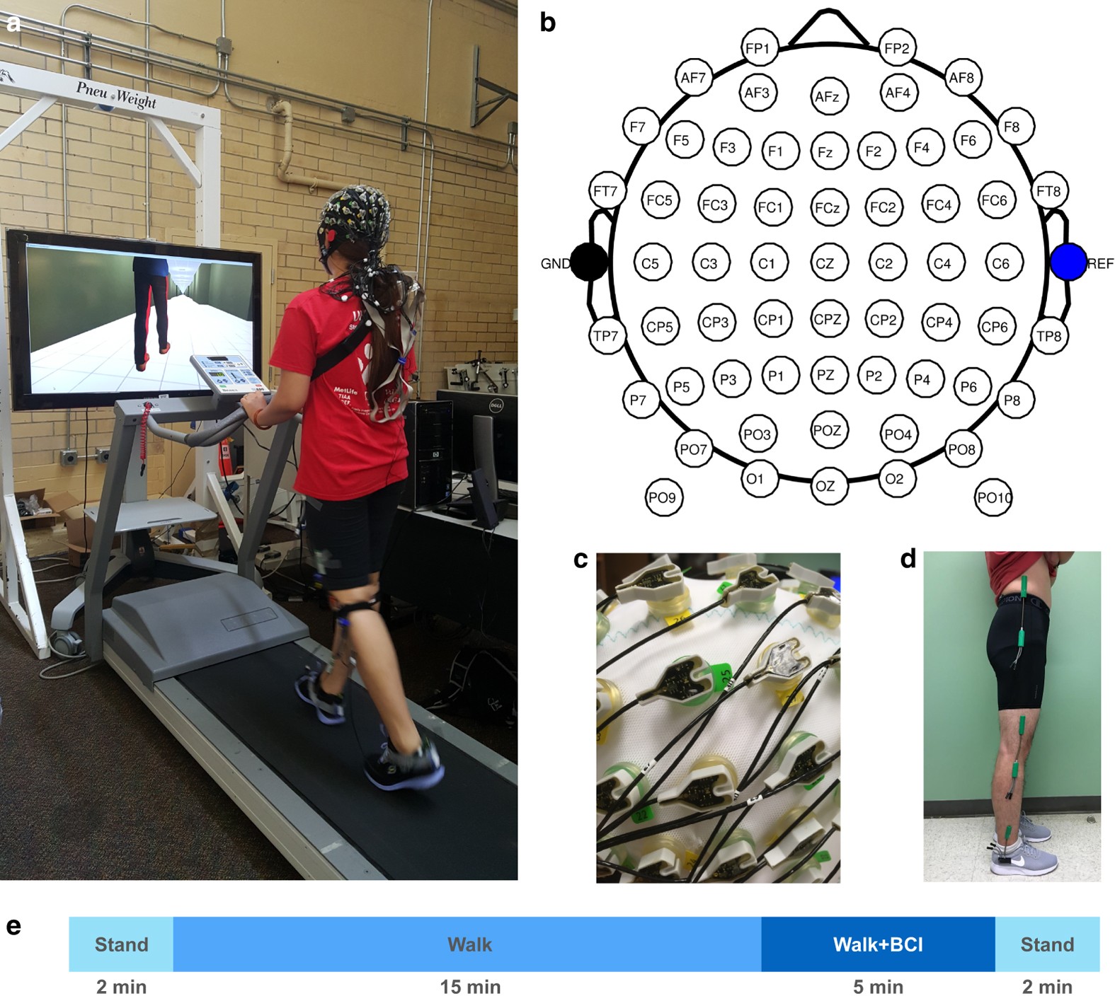 A mobile brain-body imaging dataset recorded during treadmill walking with  a brain-computer interface | Scientific Data