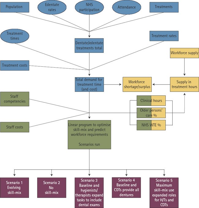 Dental Practice Staffing Model  