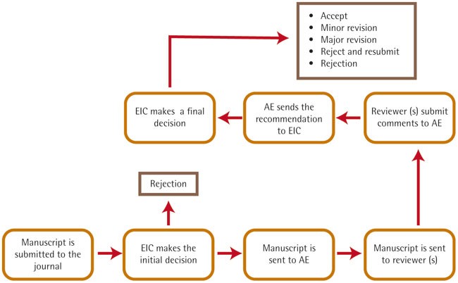 Improving the peer-review process from the perspective of an 