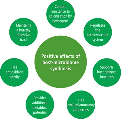 The oral microbiome – an update for oral healthcare professionals 
