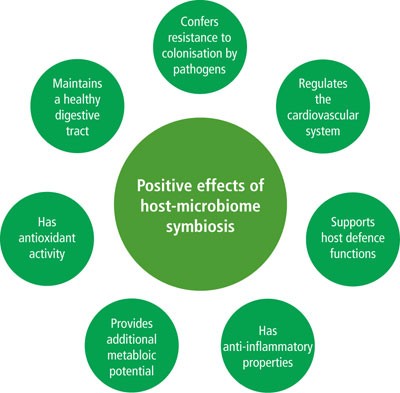 positive effects of the neolithic revolution