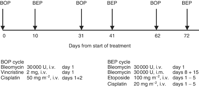 Bleomycin, vincristine, cisplatin/bleomycin, etoposide, cisplatin  chemotherapy: an alternating, dose intense regimen producing promising  results in untreated patients with intermediate or poor prognosis malignant  germ-cell tumours | British Journal of ...