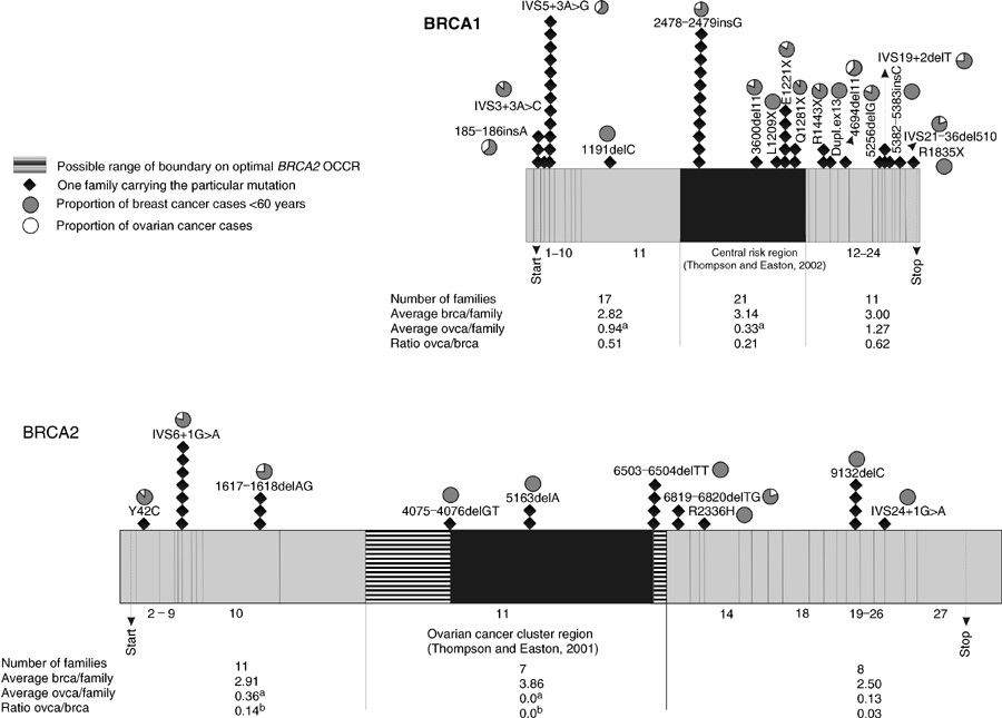 BRCA1 and BRCA2 germline mutation spectrum and frequencies in Belgian  breast/ovarian cancer families | British Journal of Cancer
