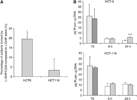 Cetuximab Potentiates Oxaliplatin Cytotoxic Effect Through A