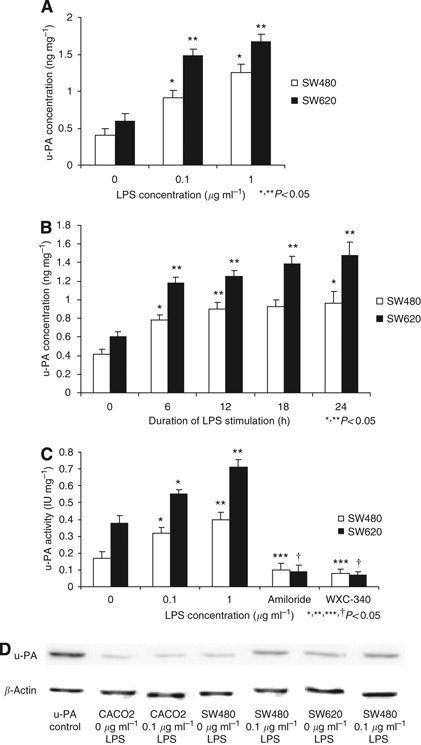 Bacterial endotoxin enhances colorectal cancer cell adhesion and invasion  through TLR-4 and NF-κB-dependent activation of the urokinase plasminogen  activator system | British Journal of Cancer