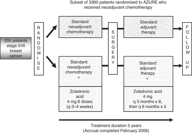 The effects of adding zoledronic acid to neoadjuvant chemotherapy on tumour  response: exploratory evidence for direct anti-tumour activity in breast  cancer | British Journal of Cancer