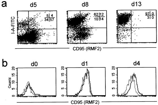 Mk 2089 tree step lessons youtube