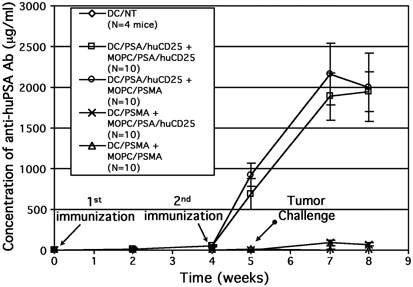 Efficient transfer of PSA and PSMA cDNAs into DCs generates antibody and T  cell antitumor responses in vivo | Cancer Gene Therapy