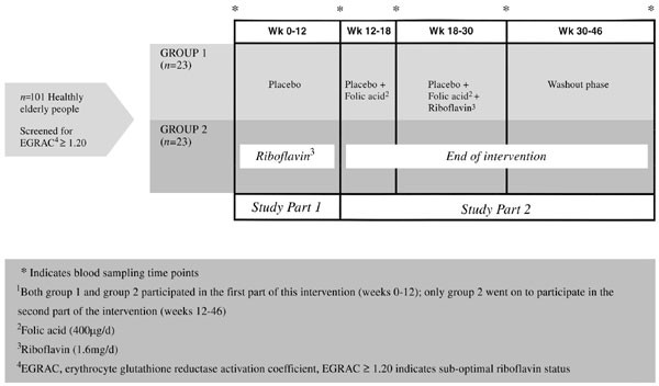 Effect of riboflavin supplementation on plasma homocysteine in elderly  people with low riboflavin status | European Journal of Clinical Nutrition