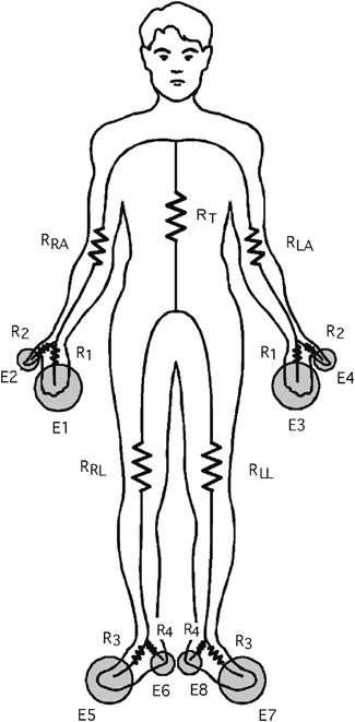Percentage of Body Fat Assessment Using Bioelectrical Impedance