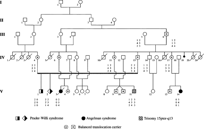 Prader Willi Syndrome Pedigree Chart