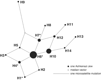 Y Chromosome Evidence For A Founder Effect In Ashkenazi Jews European Journal Of Human Genetics