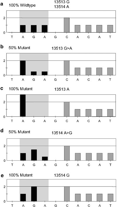 The Mitochondrial g A Mutation Is Most Frequent In Leigh Syndrome Combined With Reduced Complex I Activity Optic Atrophy And Or Wolff Parkinson White European Journal Of Human Genetics