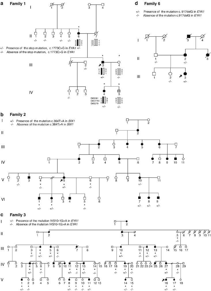 Branchio–oto–renal syndrome: detection of EYA1 and SIX1 mutations in five  out of six Danish families by combining linkage, MLPA and sequencing  analyses | European Journal of Human Genetics