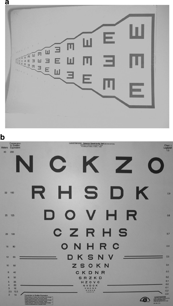 Logmar Visual Acuity Chart