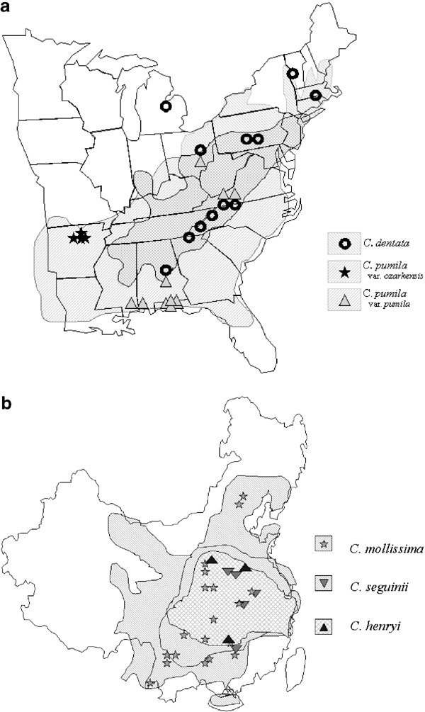 Himlen Tangle Mediate Intercontinental genetic divergence of Castanea species in eastern Asia and  eastern North America | Heredity