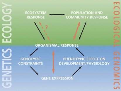 role of heredity and environment in growth and development
