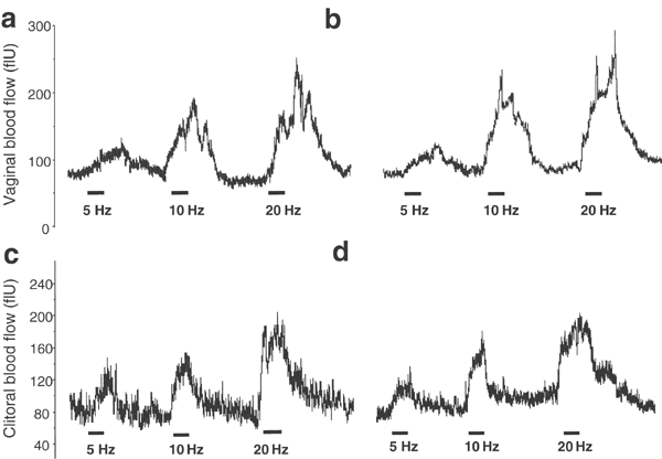 Representative tracings showing the effects of PNES on vagina (a, b) and clitoris (c, d) blood flow in an anesthetized female dog measured by laser Doppler ... Vardenafil enhances clitoral and vaginal blood flow responses to ...