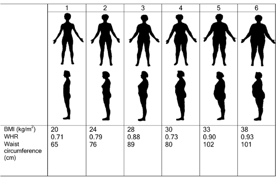 body size in urban Senegalese women ...