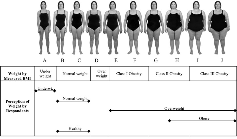 Overweight woman on obese chart scale controls bmi