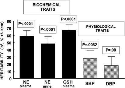Contributions of the sympathetic nervous system, glutathione, body mass and  gender to blood pressure increase with normal aging: influence of heredity 