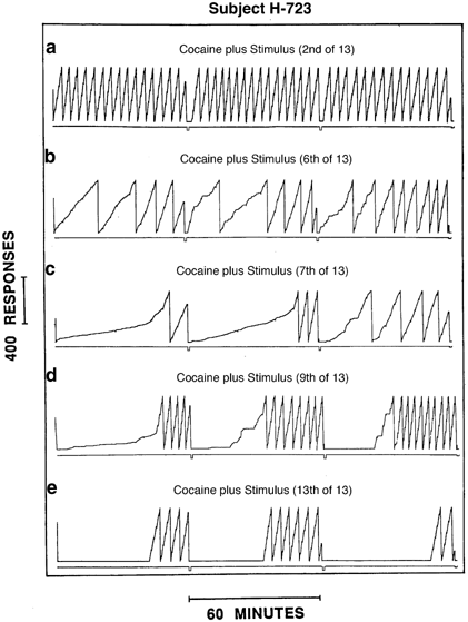 Human Cocaine Seeking Behavior And Its Control By Drug Associated Stimuli In The Laboratory Neuropsychopharmacology