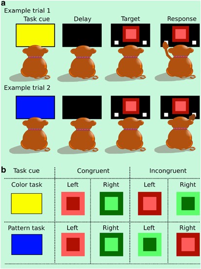 Effects of the NMDA Antagonist Ketamine on Task-Switching Performance: Evidence for Specific Impairments of Executive Control | Neuropsychopharmacology Effects of the NMDA Antagonist Ketamine on Task-Switching Performance: Evidence for Specific Impairments of Executive Control | Neuropsychopharmacology