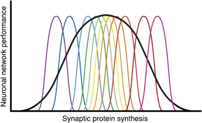 FMRP(1–297)-tat restores ion channel and synaptic function in a