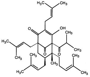 Inhibition Of Tumour Cell Growth By Hyperforin A Novel Anticancer Drug From St John S Wort That Acts By Induction Of Apoptosis Oncogene