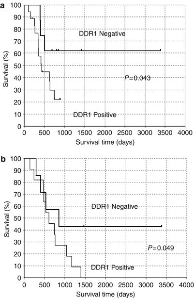 BRB-N scores stratified by age and educational level (expressed as mean