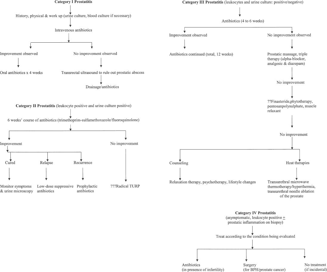 prostatitis 2 típusú