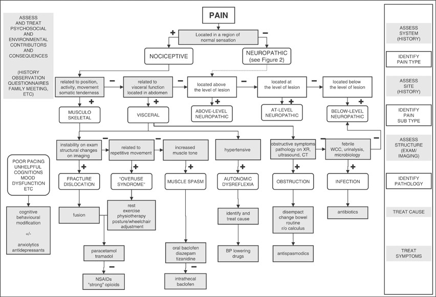 https://media.springernature.com/full/springer-static/image/art%3A10.1038%2Fsj.sc.3101824/MediaObjects/41393_2006_Article_BF3101824_Fig1_HTML.jpg