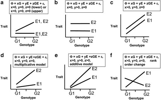 Gene Environment Interaction >> Gene Environment Interactions The Biobank Uk Study The Gene Environment Interaction >> Gene Environment Interactions The Biobank Uk Study The