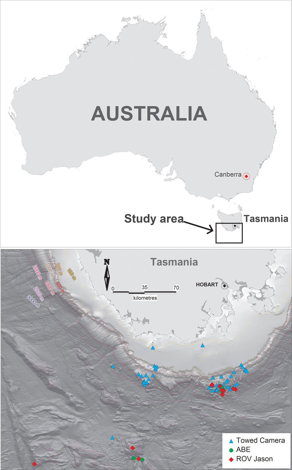 Extraordinarily High Biomass Benthic Community On Southern Ocean