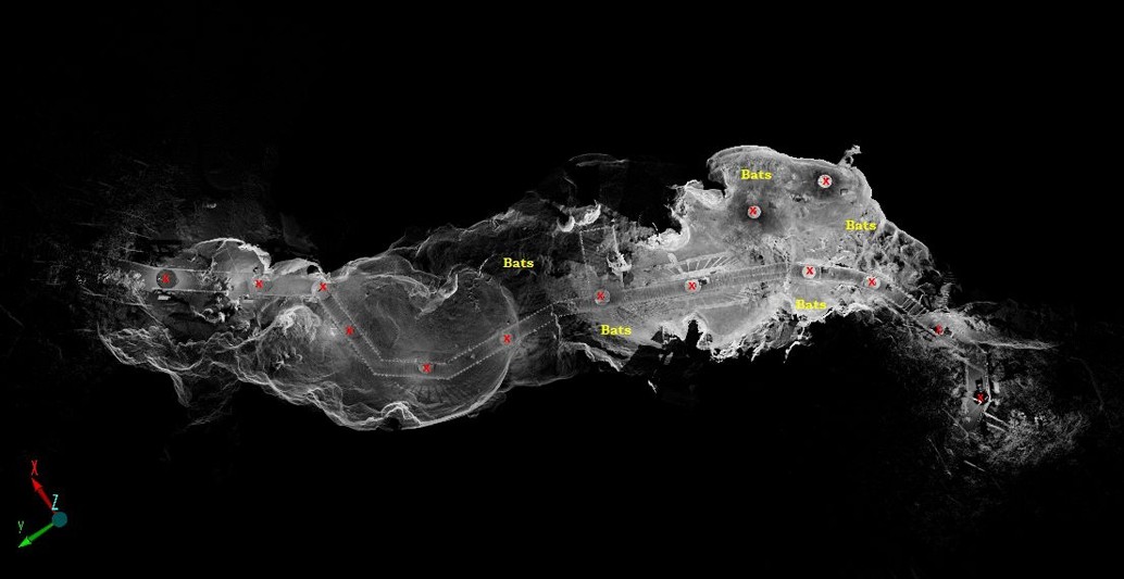 DarkCideS 1.0, a global database for bats in karsts and caves