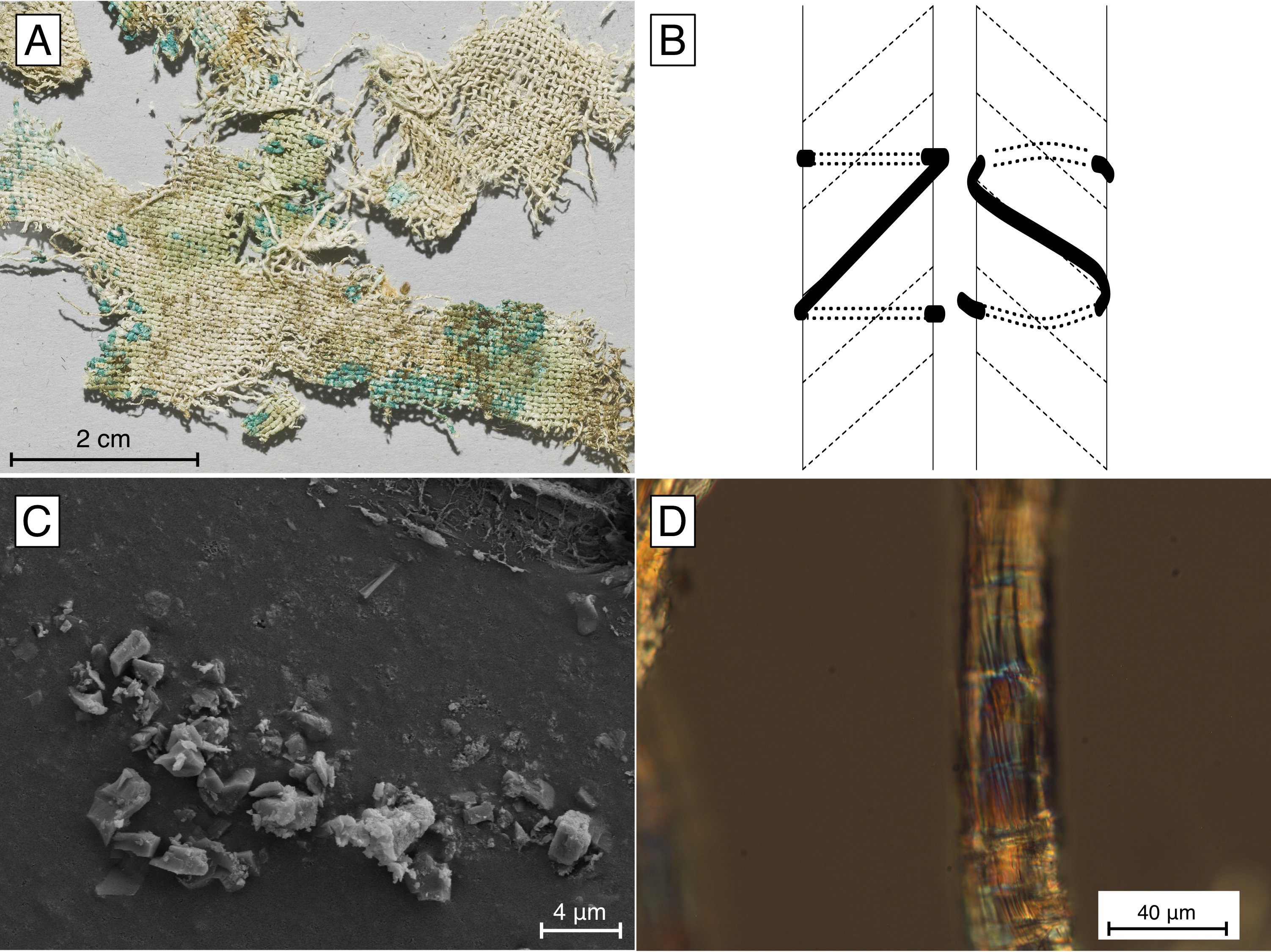 Nettle as a distinct Bronze Age textile plant | Scientific Reports