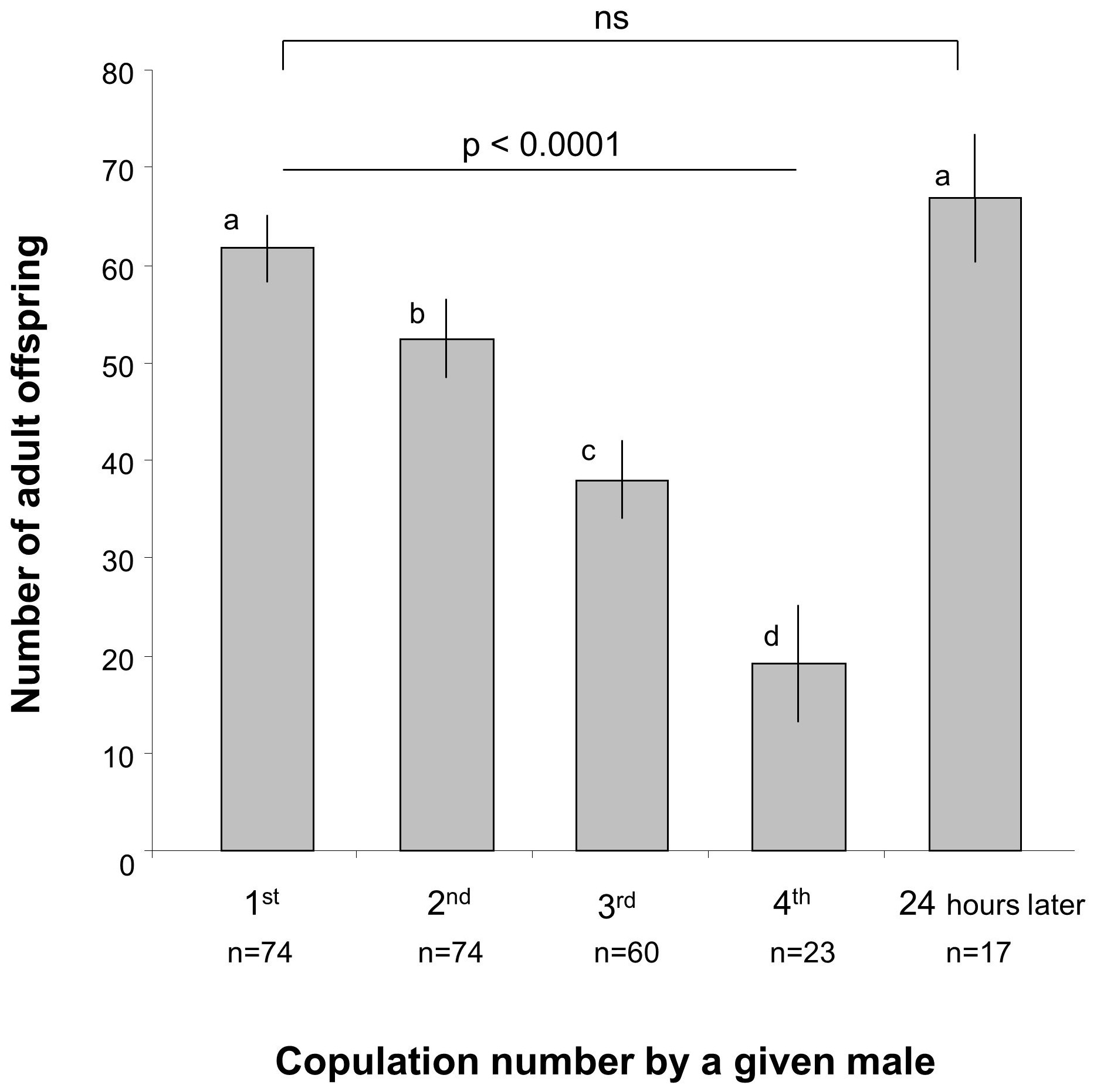 Why fruit flies produce giant sperm 20 times their body length