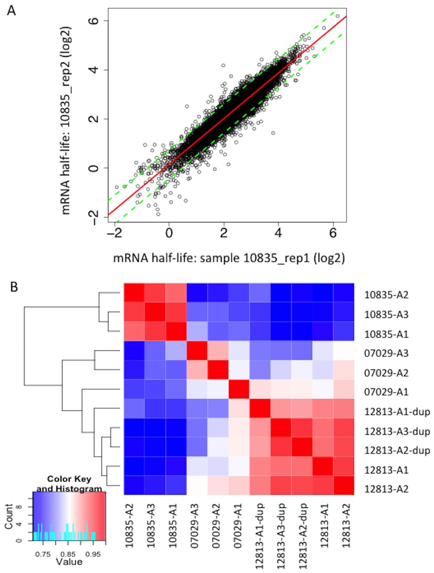 Genome-wide survey of interindividual differences of RNA stability in human  lymphoblastoid cell lines | Scientific Reports