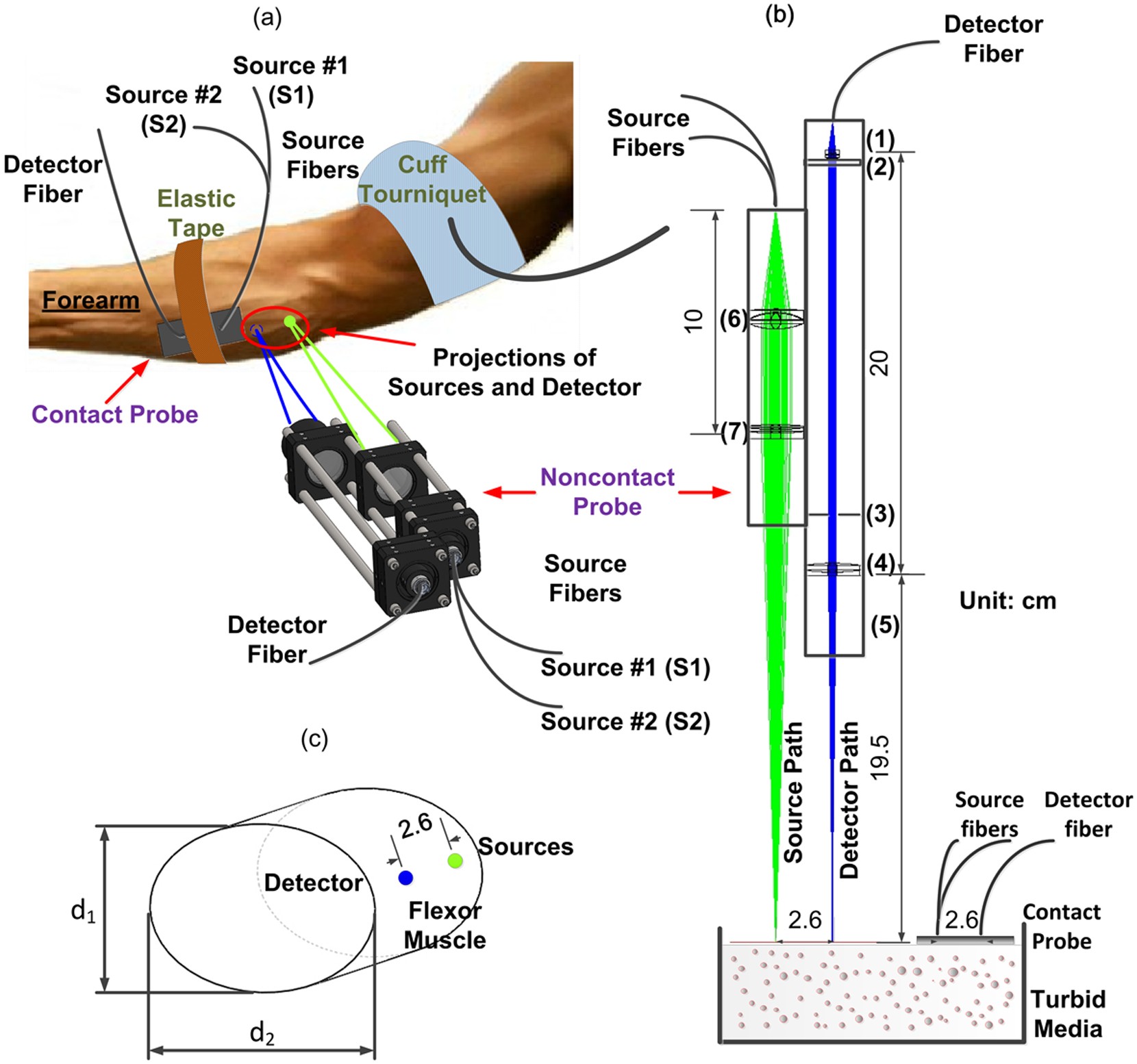 Engineering a Solution to a Skin-Deep Problem of Blood Oxygen Measurements