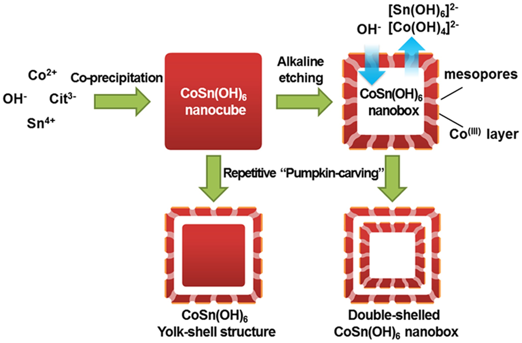 Mesoporous Single-crystal CoSn(OH)6 Hollow Structures with Multilevel  Interiors | Scientific Reports