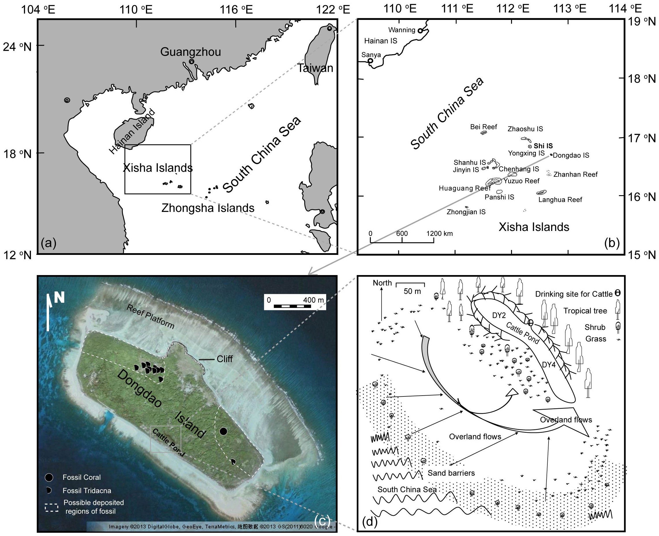 Preliminary Evidence For A 1000 Year Old Tsunami In The South