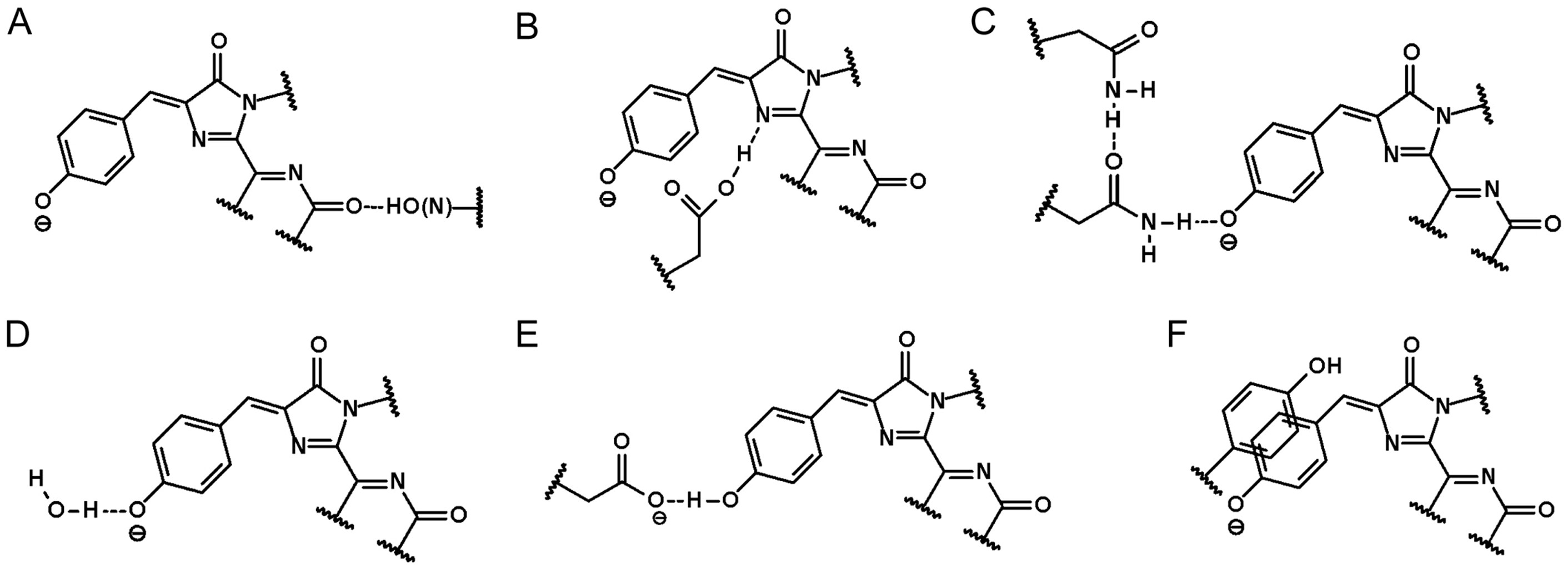 Extended Stokes Shift In Fluorescent Proteins Chromophore Protein Interactions In A Near Infrared rfp675 Variant Scientific Reports