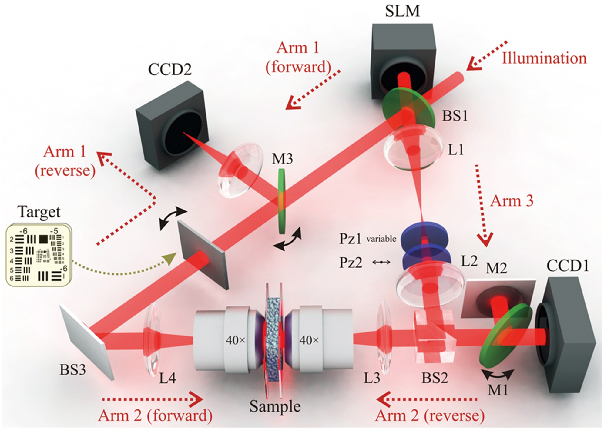 optical phase