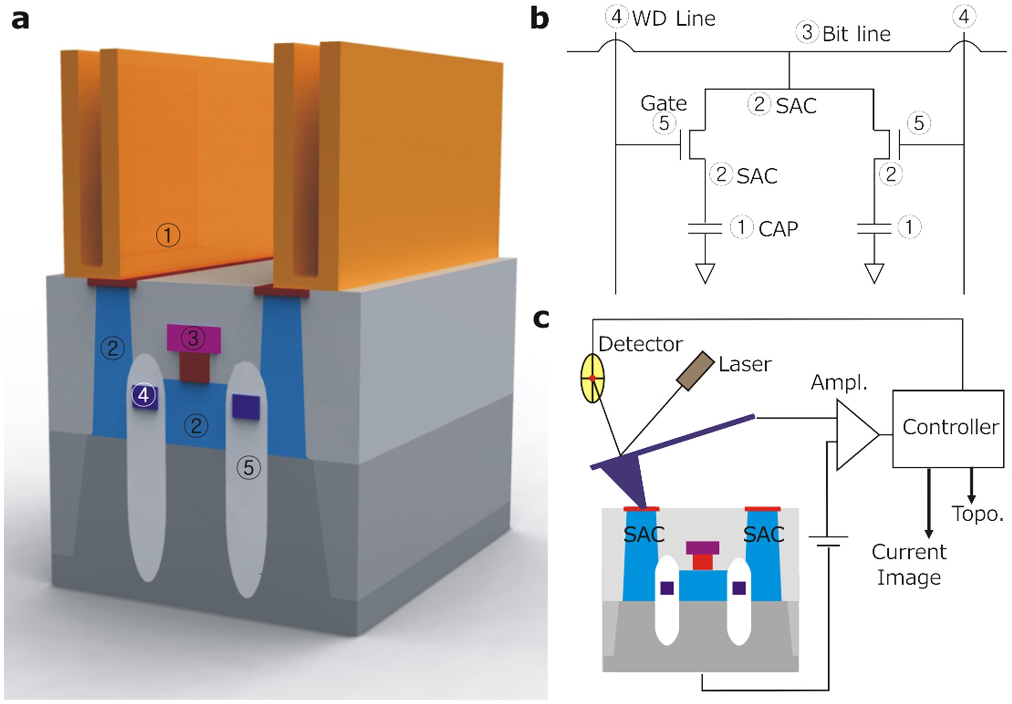 Fast, exact and non-destructive diagnoses of contact failures in nano-scale  semiconductor device using conductive AFM | Scientific Reports