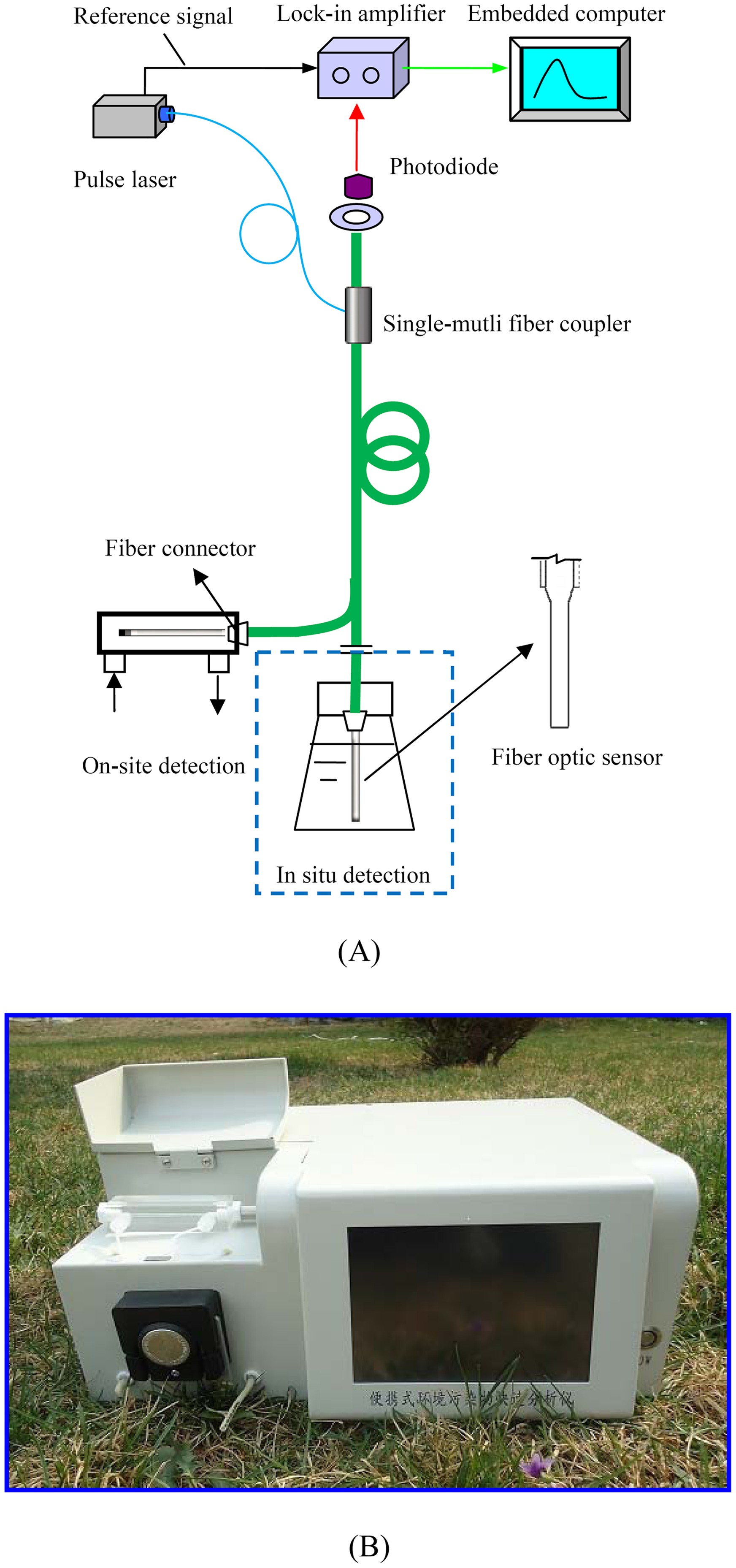 Rapid on-site/in-situ detection of heavy metal ions in environmental water  using a structure-switching DNA optical biosensor | Scientific Reports