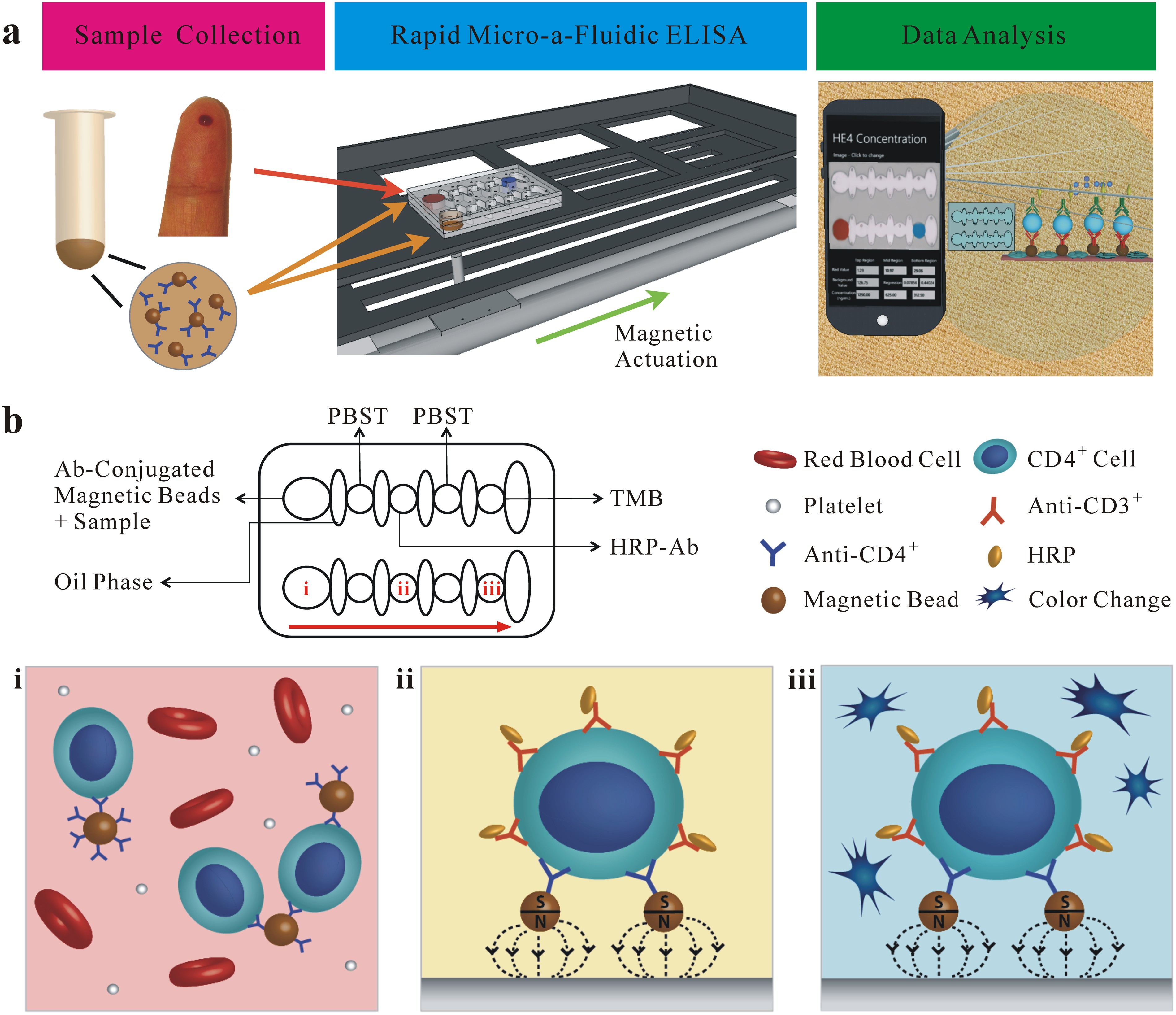 Micro-a-fluidics ELISA for Rapid CD4 Cell Count at the Point-of-Care - Scie...