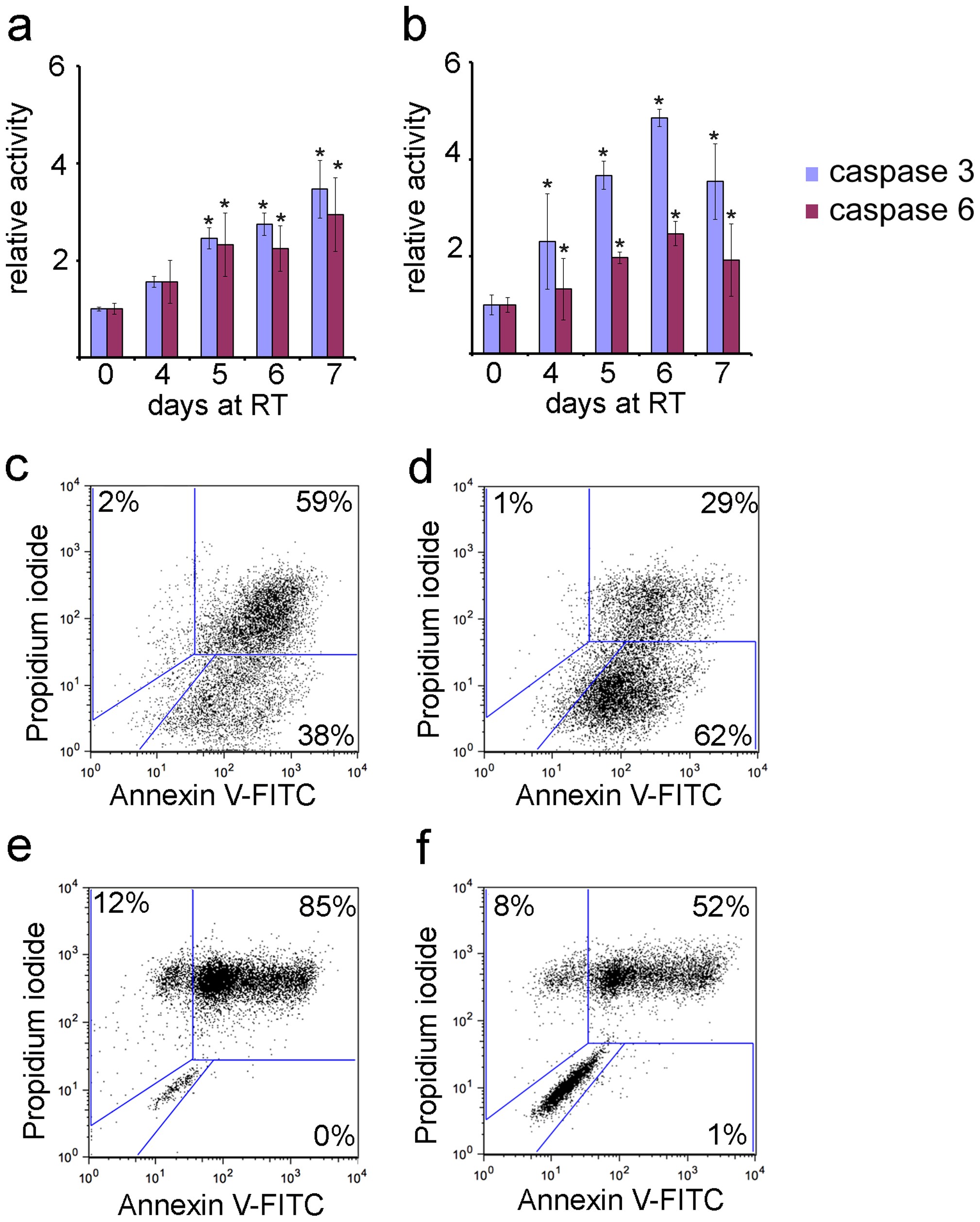 Cell death stages in single apoptotic and necrotic cells monitored 