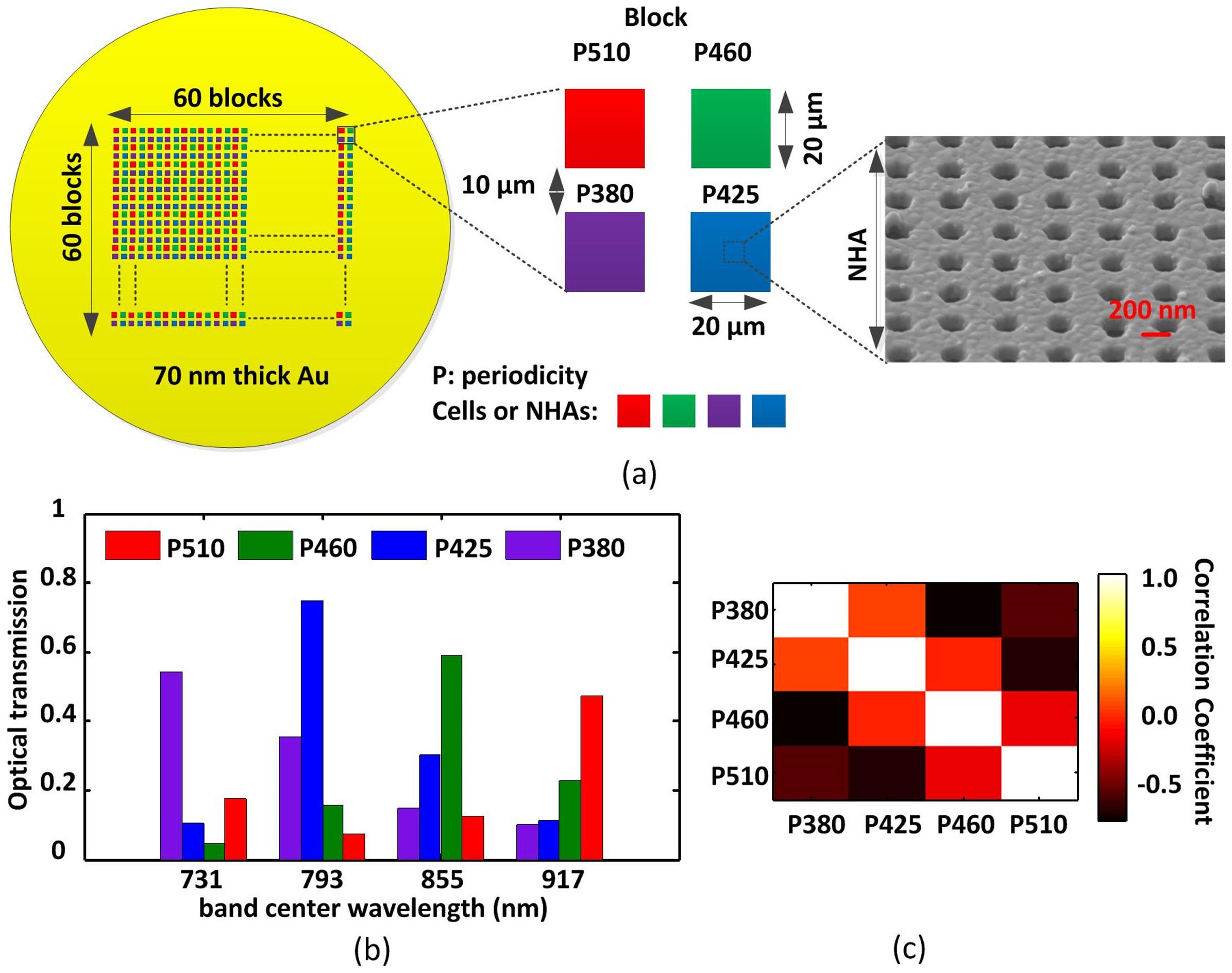 Bolus tracking with nanofilter-based multispectral videography for  capturing microvasculature hemodynamics | Scientific Reports
