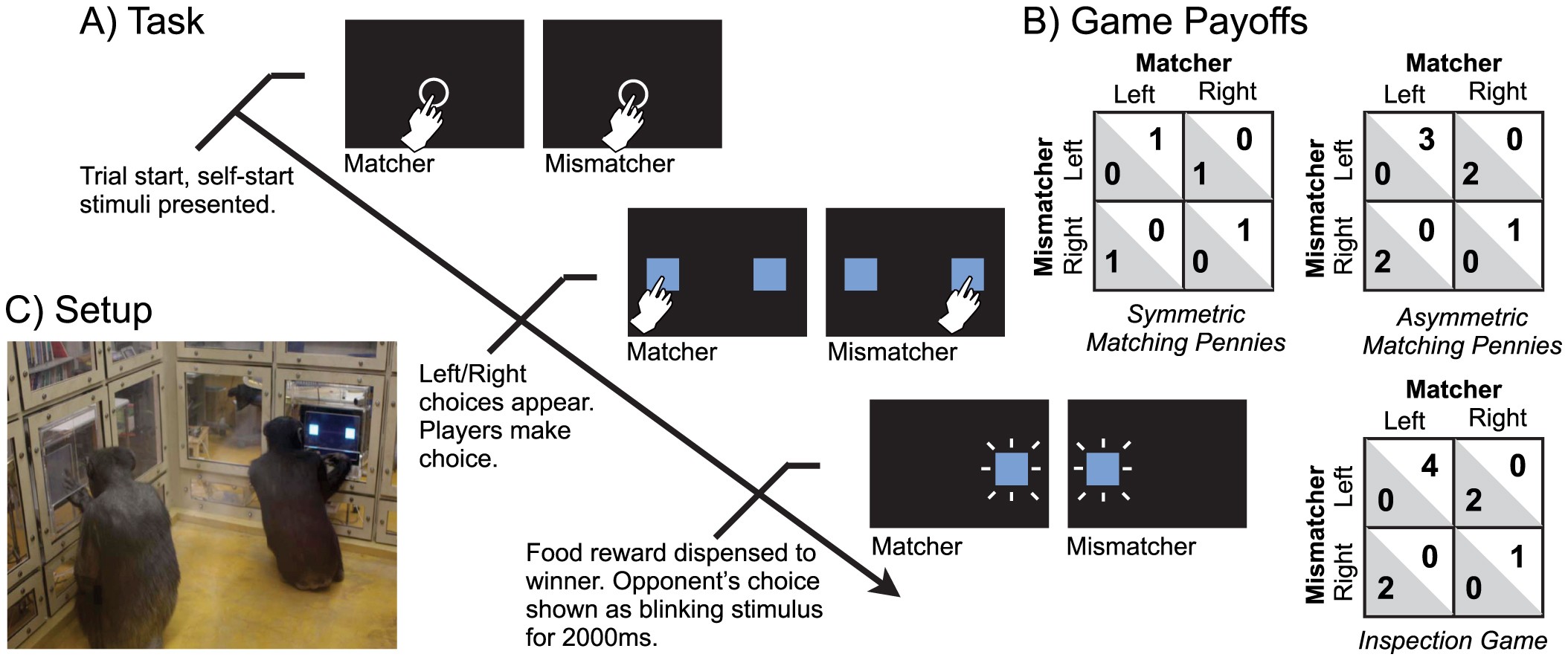 Nash Equilibrium: How It Works in Game Theory, Examples, Plus