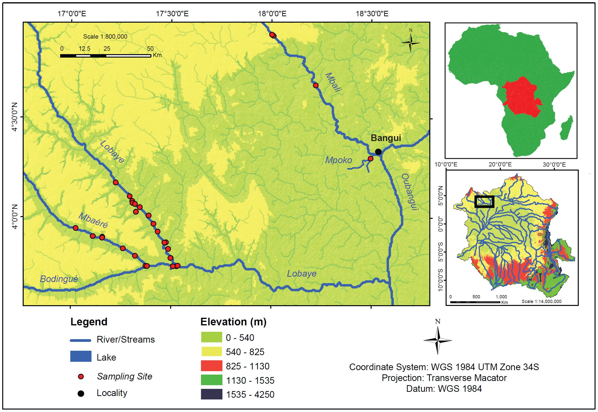 The Congo Falls below Stanley Pool (Pool Malebo) . Congo Basin